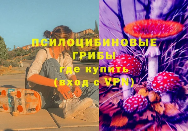 ГАЛЛЮЦИНОГЕННЫЕ ГРИБЫ Орехово-Зуево