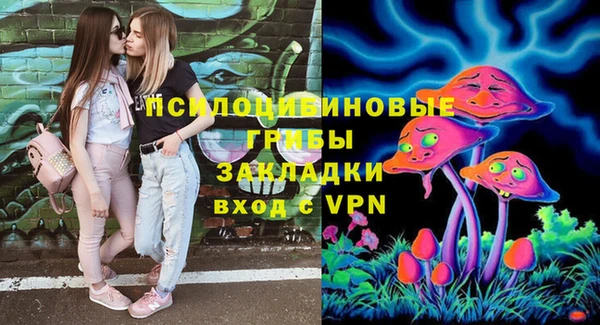 ГАЛЛЮЦИНОГЕННЫЕ ГРИБЫ Орехово-Зуево